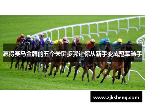 赢得赛马金牌的五个关键步骤让你从新手变成冠军骑手