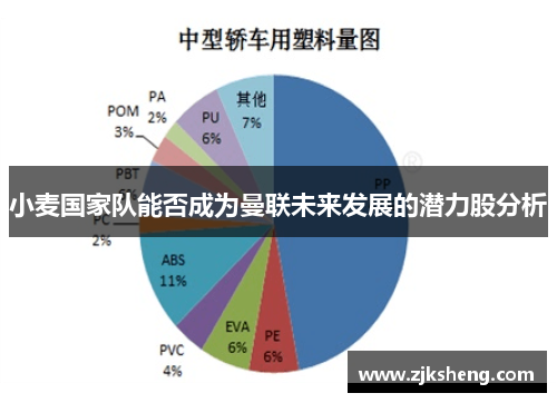 小麦国家队能否成为曼联未来发展的潜力股分析
